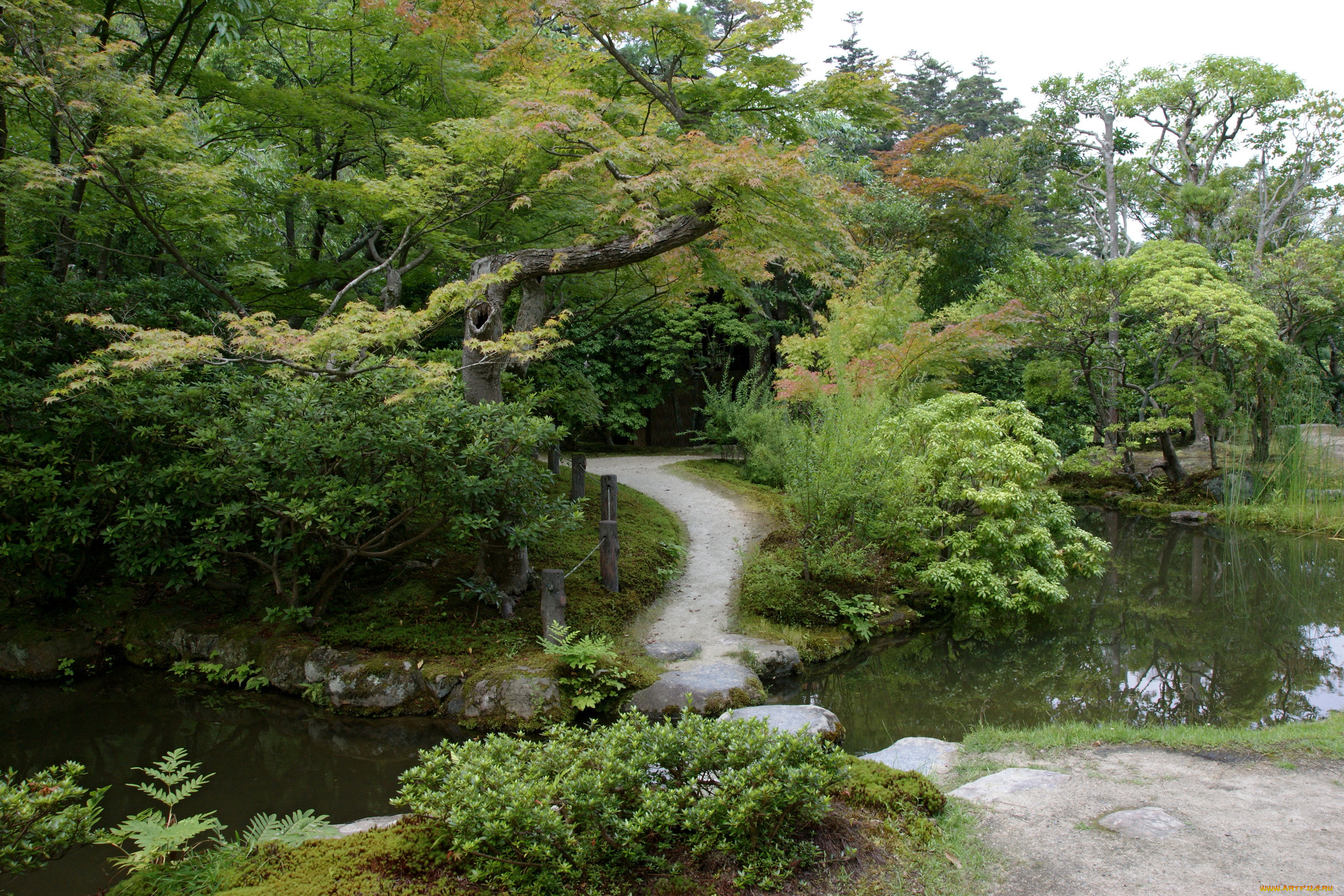 isuien, garden, nara, japan, , 